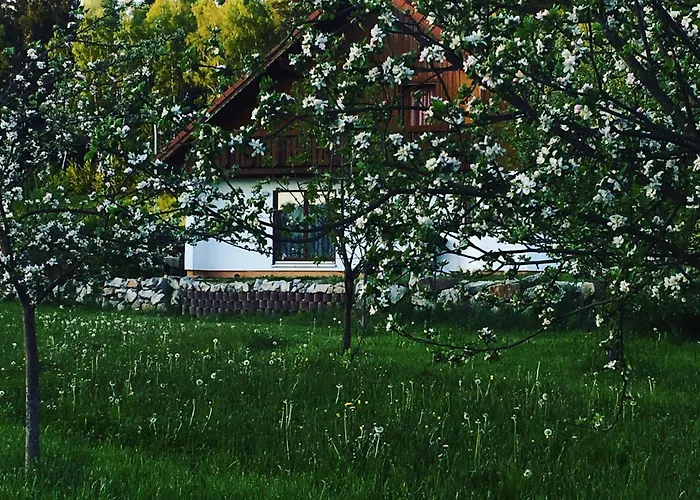 Zur Thusstrasse *