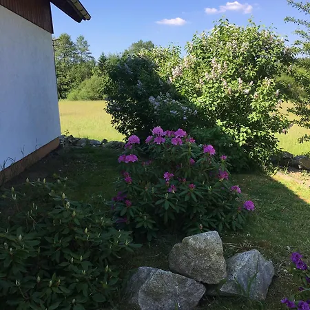 Holiday home Zur Thusstrasse Roslau